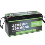 Reka Bentuk Keselamatan Outlet Kilang Long Life Marine 36v 60ah Battery Lifepo4