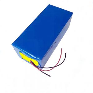 LiFePO4 Rechargeable Battery 10Ah 12V Lithium Iron Phosphate Battery for Light / UPS / alat elektrik / glider / memancing ais